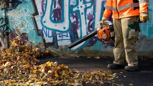 Removal of autumn leaves with a leaf blower