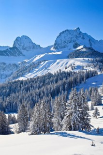 Swiss Prealps