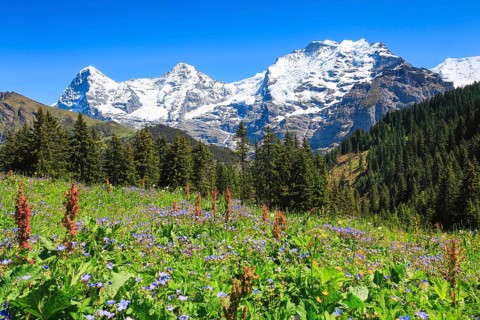 Eiger