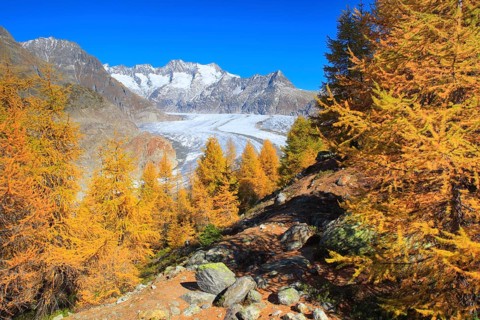 Great Aletsch Glacier and Wannenhorns
