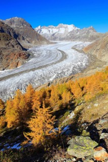 Great Aletsch Glacier and Wannenhorns