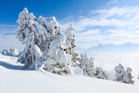 Bernese Alps