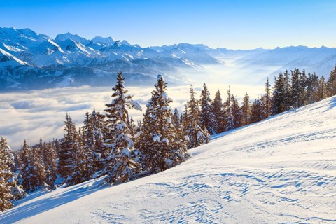 Bernese Alps