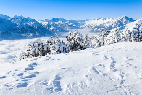 Bernese Alps with view over Kandertal with Niesen