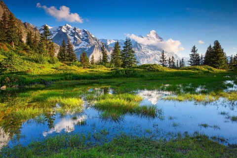 Grosse Scheidegg Passhoehe