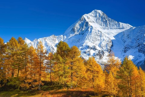 Bietschhorn