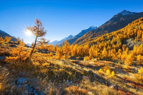 Fafleralp in the Loetschental
