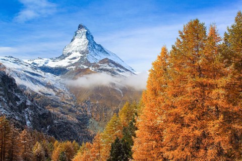 Matterhorn and larch