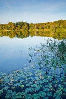Burgaeschisee