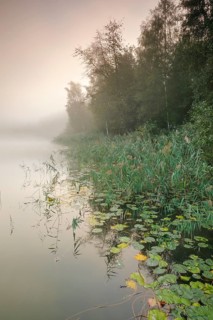 Burgaeschisee
