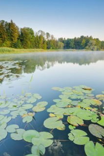 Burgaeschisee