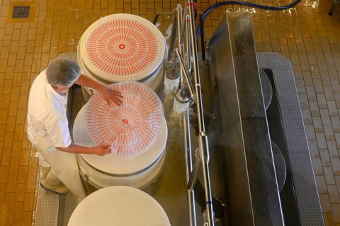 Cheese maker puts label Emmentaler on the cheese press mould