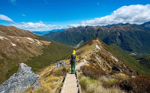 Hikers on hiking trail