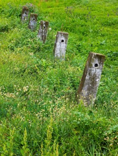 Concrete pillar in the meadow