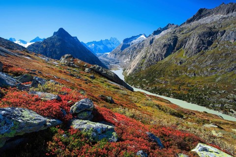 Swiss Alps in autumn