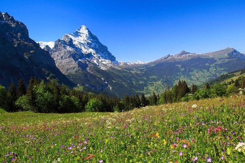 Eiger