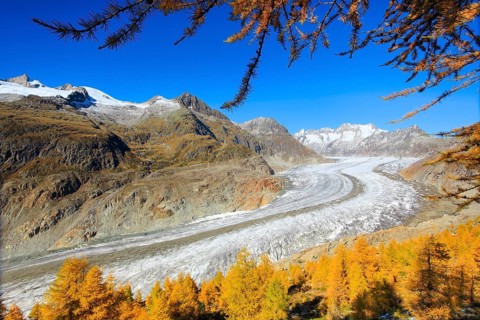Great Aletsch Glacier and Wannenhorns