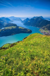 View from Fronalpstock