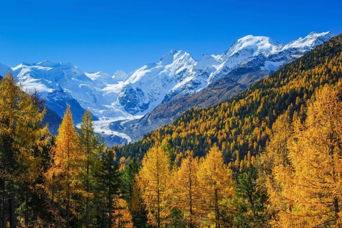 Piz Piz Palue