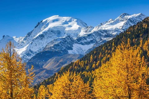 Piz Morteratsch