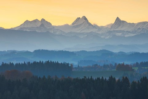 View Emmental