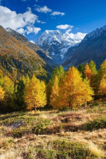 Arolla