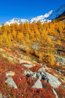 Loetschental with Schinhorn