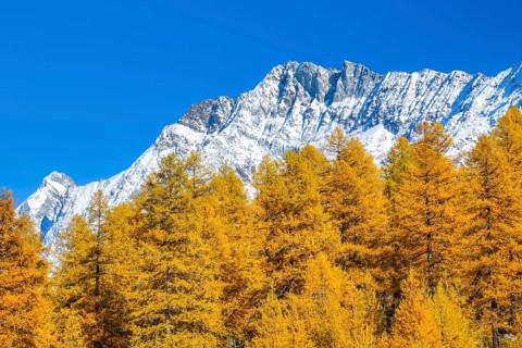 Aletschhorn and Schinhorn