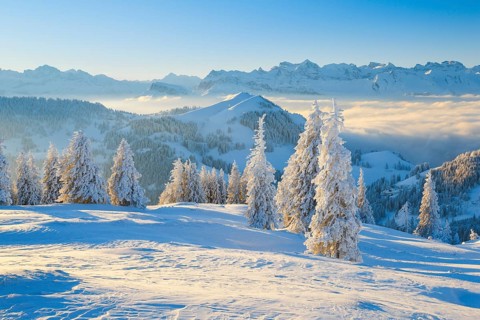 View from the Rigi