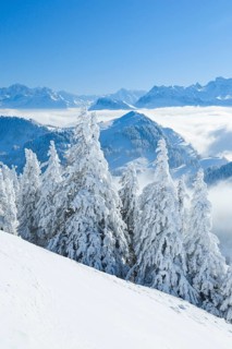 View from the Rigi