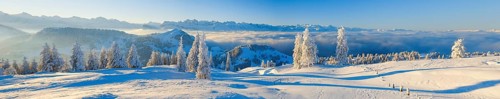View from the Rigi