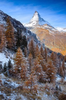Matterhorn and larch