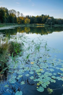 Burgaeschisee
