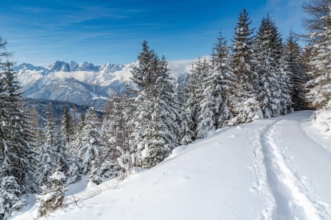 Winter landscape
