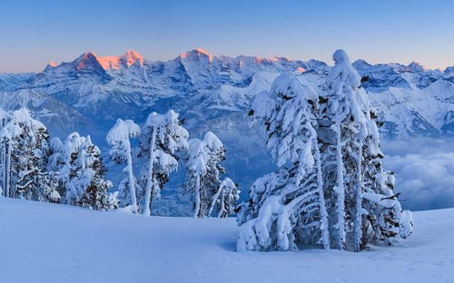 Bernese Alps