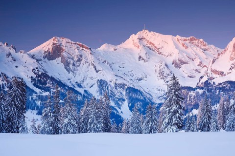 Saentis