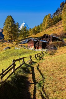 Matterhorn and larch
