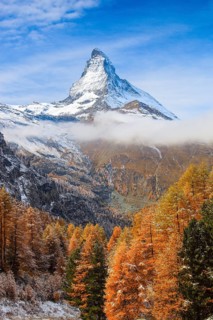 Matterhorn and larch
