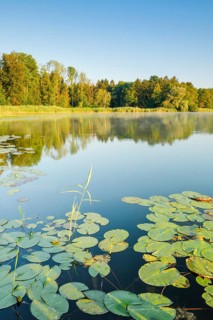 Burgaeschisee