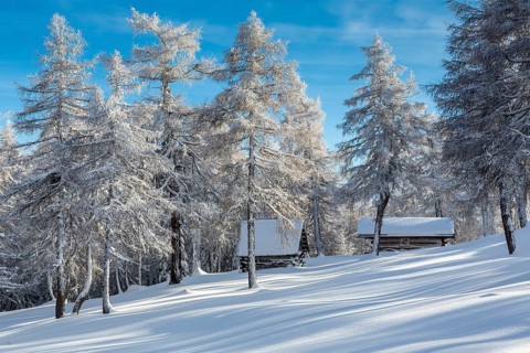 Winter landscape