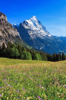 Eiger