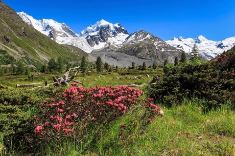 Val Roseg