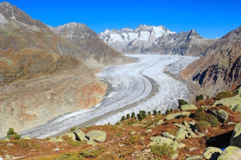 Great Aletsch Glacier and Wannenhorns