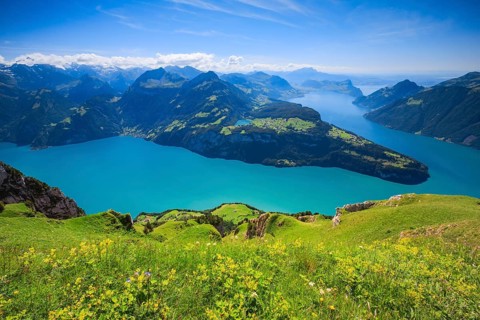 View from Fronalpstock