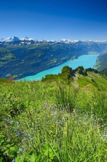 Brienzer Rothorn