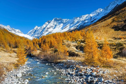 River Lonza with Aletschhorn and Schinhorn