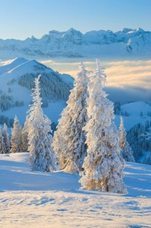 View from the Rigi