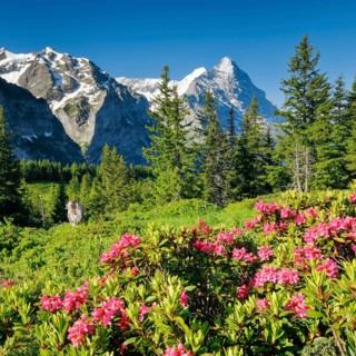 Eiger and Moench