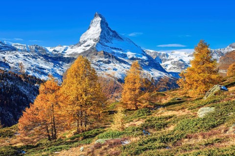 Matterhorn and larch