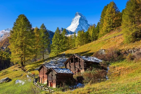 Matterhorn and larch